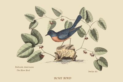 Art Print, , small