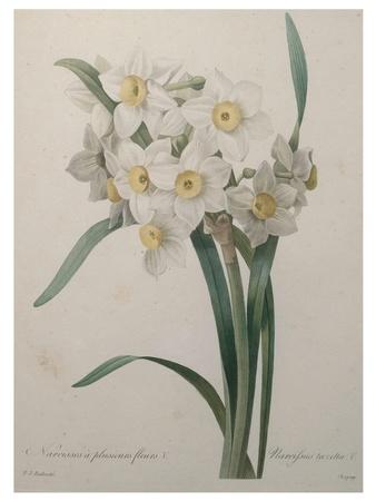 Art Print, , small