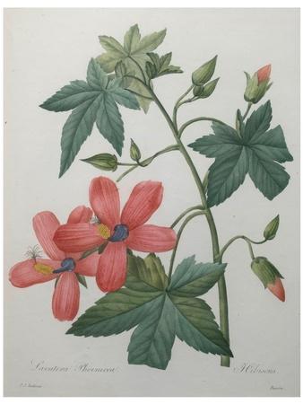 Art Print, , small