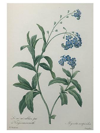 Art Print, , small