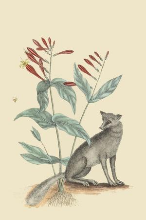 Art Print, , small