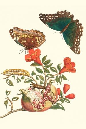 Art Print, , small