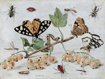 Art Print, , small