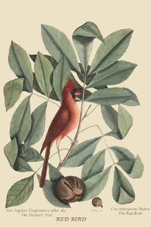 Art Print, , small