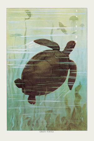 Art Print, , small