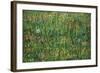 Patch of Grass by Van Gogh-Vincent van Gogh-Framed Art Print