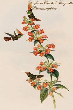 Art Print, , small