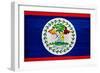 Belize Flag Design with Wood Patterning - Flags of the World Series-Philippe Hugonnard-Framed Premium Giclee Print