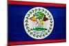 Belize Flag Design with Wood Patterning - Flags of the World Series-Philippe Hugonnard-Mounted Premium Giclee Print