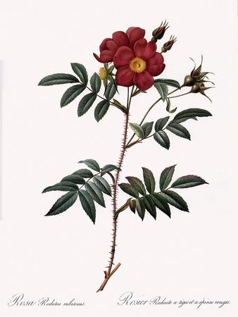 Giclee Print, , small