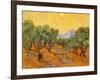 Sun over Olive Grove, 1889-Vincent van Gogh-Framed Giclee Print