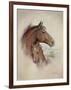 Race Horse II-Ruane Manning-Framed Art Print