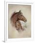 Race Horse II-Ruane Manning-Framed Art Print