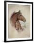 Race Horse II-Ruane Manning-Framed Art Print