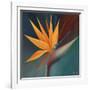 Bird of Paradise I-Vivien Rhyan-Framed Art Print