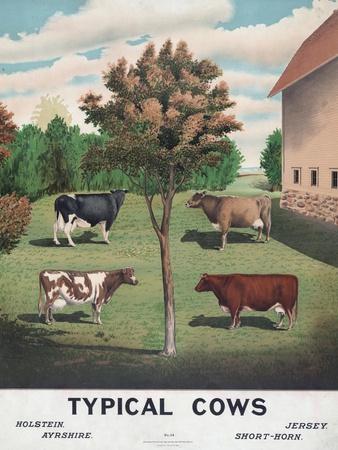 Giclee Print, , small