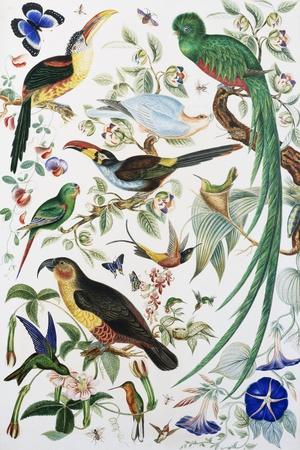 Giclee Print, , small
