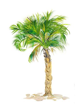 Art Print, , small