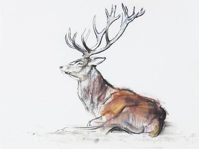 Giclee Print, , small
