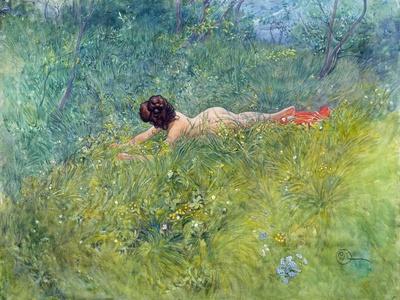 Giclee Print, , small