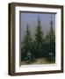 Spruce Forest in Snow (Dresdner Heide I.), ca. 1828-Caspar David Friedrich-Framed Giclee Print
