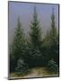 Spruce Forest in Snow (Dresdner Heide I.), ca. 1828-Caspar David Friedrich-Mounted Giclee Print