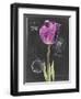 Chalkboard Flower IV-Jennifer Parker-Framed Art Print