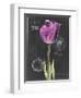 Chalkboard Flower IV-Jennifer Parker-Framed Art Print