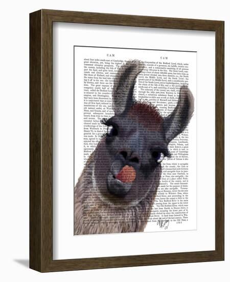 Silly Llama-Fab Funky-Framed Art Print