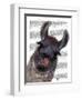 Silly Llama-Fab Funky-Framed Art Print