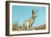 Jackalope-null-Framed Art Print