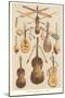 Variety of Stringed Instruments-null-Mounted Art Print