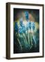 Texture Muscari-Philippe Sainte-Laudy-Framed Photographic Print