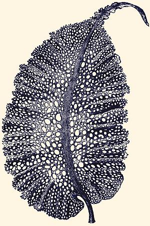 Art Print, , small