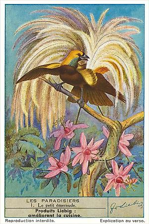 Art Print, , small
