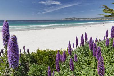 Photographic Print, , small