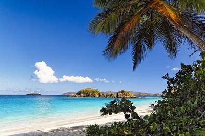 Photographic Print, , small