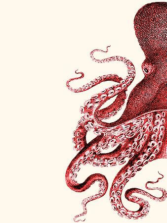 Art Print, , small