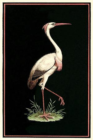 Art Print, , small