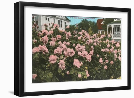 Rose Garden, Portland, Oregon-null-Framed Art Print