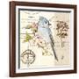 Bird Sketch 4-Chad Barrett-Framed Art Print