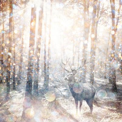 Art Print, , small
