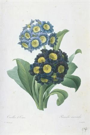 Giclee Print, , small