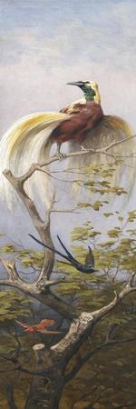 Giclee Print, , small