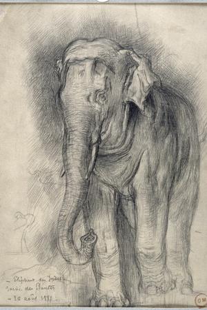 Giclee Print, , small