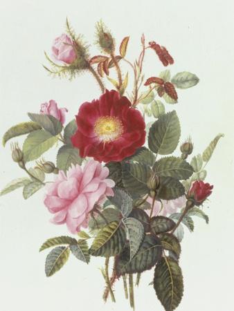 Giclee Print, , small