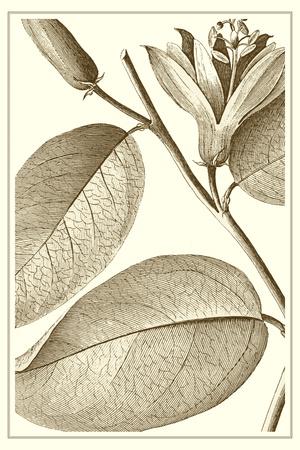 Art Print, , small