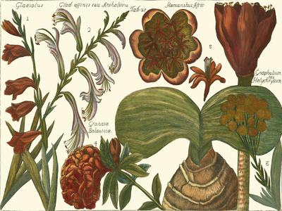 Art Print, , small