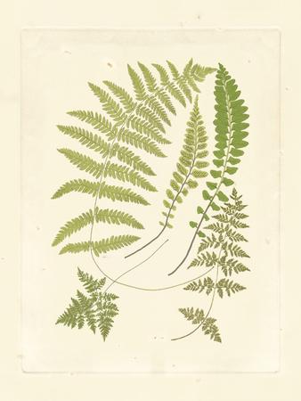 Art Print, , small