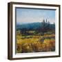 Pacific Northwest I-Tim O'toole-Framed Art Print